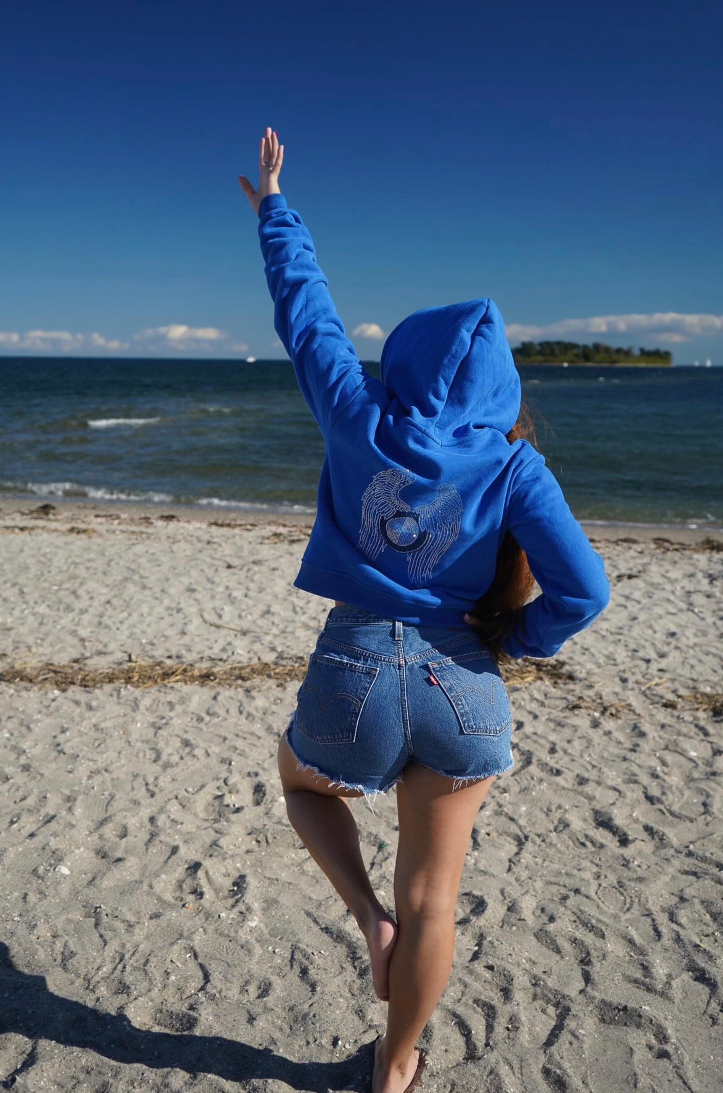 BMW Blue Angel Hoodie